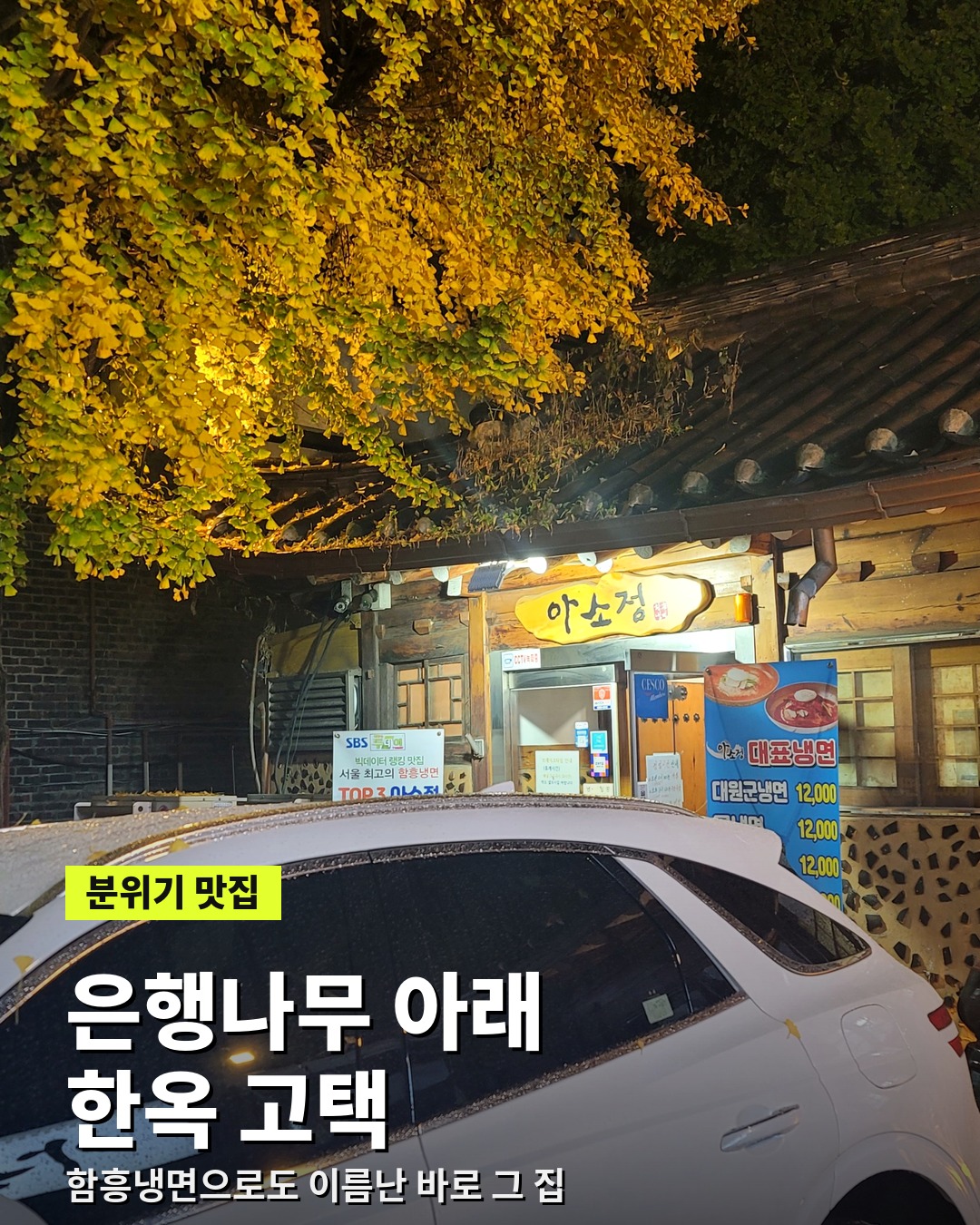 은행나무 아래 아소정 한옥 고택 입구 야경