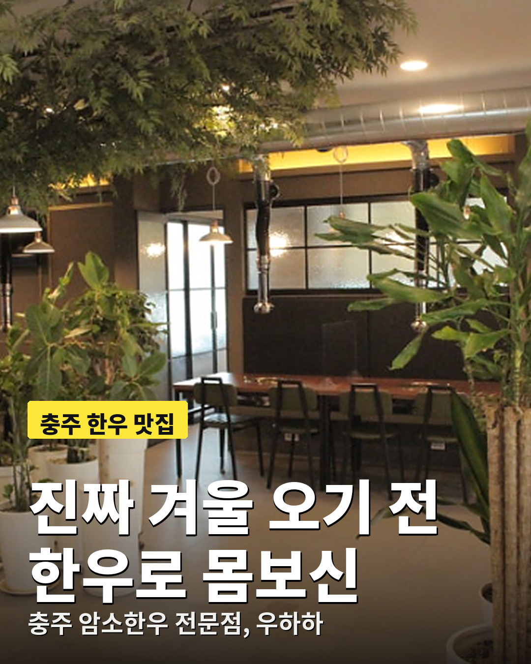 충주맛집 우하하 후기, 진짜 겨울 오기 전 충주한우로 몸보신 제대로 한 날