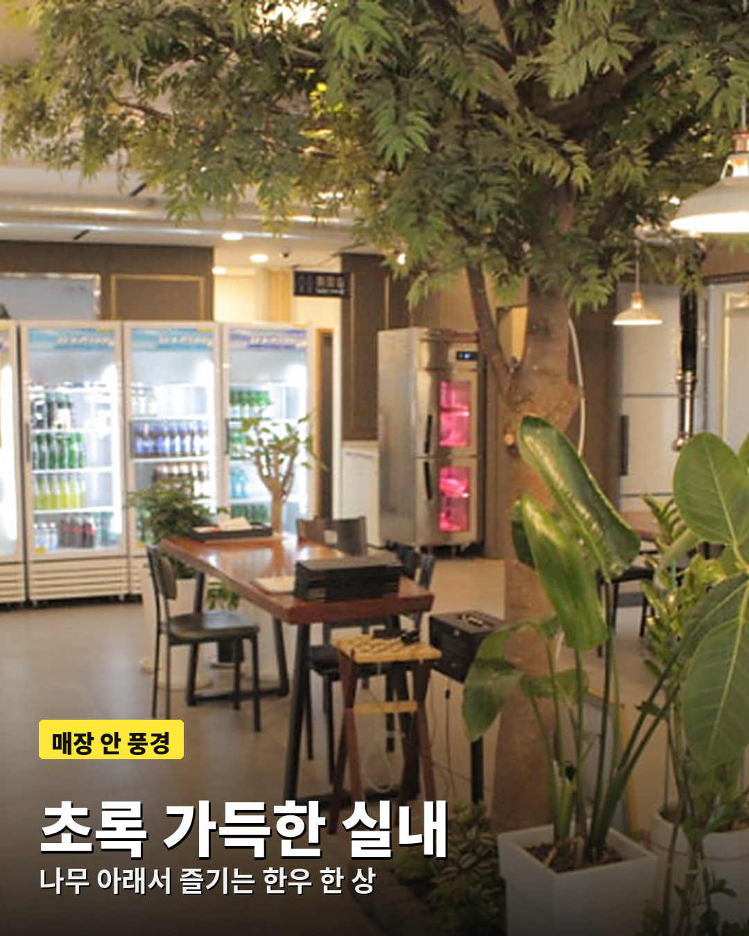 나무 아래 테이블이 놓인 충주 우하하 매장 내부 풍경