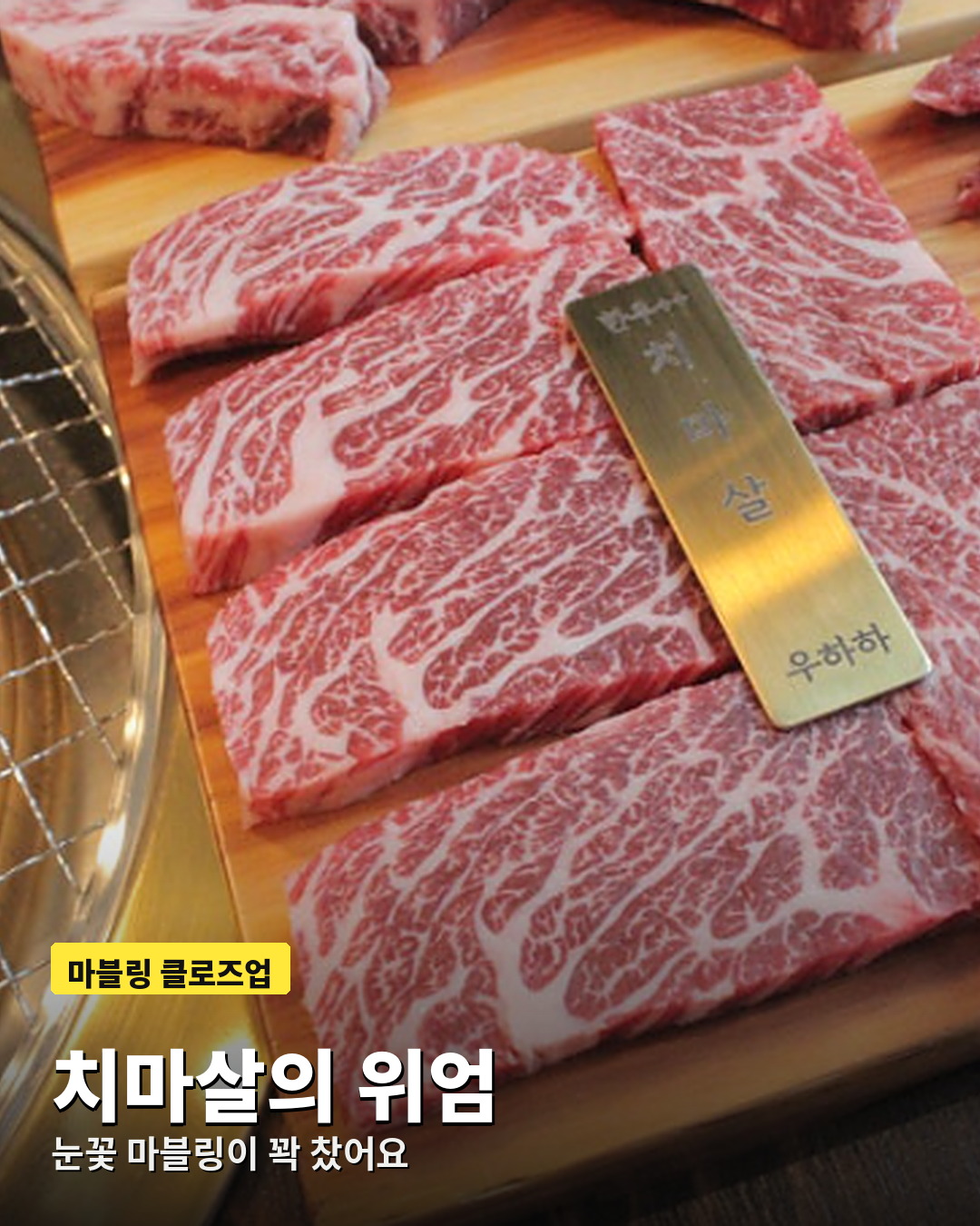 눈꽃 마블링이 가득한 우하하 치마살 클로즈업