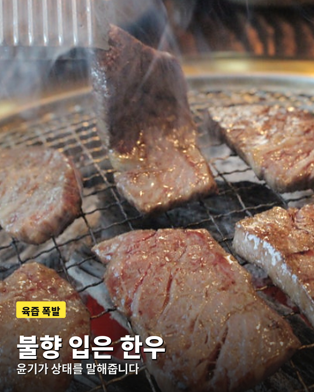 불향을 입고 윤기가 흐르는 충주 암소한우 구이